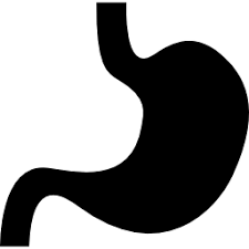 Tummy icon